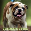 Идеальный путеводитель: Собаки / Ultimate Guide: Dogs (Discovery/1997)