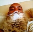 Котомания вышла на новый уровень: люди выкладывают фото с бородами из котов