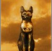Кошки Египта. От божества до убожества / The Cats of Egypt (2004)