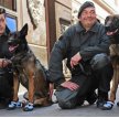 Полицейские собаки города Бремен учатся ходить в обуви