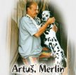 Артур, Мерлин и Прихлики / Artus, Merlin a Prchlici (1995)