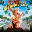 Крошка из Беверли-Хиллз / Beverly Hills Chihuahua (2008)