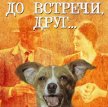 До встречи, друг... (1980)