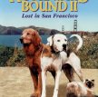 Дорога домой 2: Затерянные в Сан-Франциско / Homeward Bound II: Lost in San Francisco (1996)