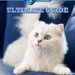 Идеальный путеводитель: Домашние кошки / Ultimate Guide: House Cats (Discovery/1999)