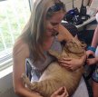 В США 16-килограммовый кот Симба нашёл новых хозяев