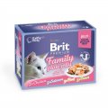 Брит (Brit) Набор паучей для кошек в желе Семейная тарелка 12*85г
