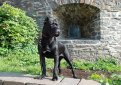 Кане корсо (Итальянская сторожевая собака) / Cane Corso (Sicilian Branchiero) Кане корсо (Итальянская сторожевая собака) / Cane Corso (Sicilian Branchiero)