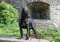 Кане корсо (Итальянская сторожевая собака) / Cane Corso (Sicilian Branchiero)