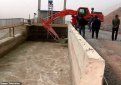 В Китае упавшего медведя спасли ковшом экскаватора В Китае упавшего медведя спасли ковшом экскаватора