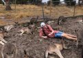 Американец по-пьяни усыновил кенгуру