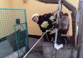 В Днепре пятеро спасателей помогли коту, который упал в колодец, выбраться на свободу В Днепре пятеро спасателей помогли коту, который упал в колодец, выбраться на свободу