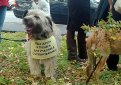 Скоро состоится «Дворянское собрание» Скоро состоится «Дворянское собрание»