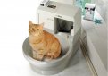Виды туалета для кошки