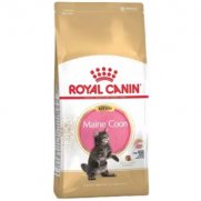 Роял Канин (Royal Canin) Kitten Maine Coon 36 сух.для котят породы Мэйн кун 4кг
