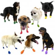Pawz Dog Boots X-Large Pawz Dog Boots X-Large