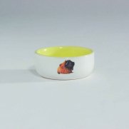 Beeztees (I.P.T.S.) Миска керамическая с изображением морской свинки, желтая, 160мл, 10см
