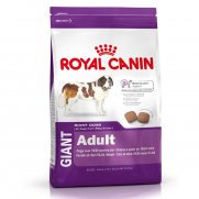 Роял Канин (Royal Canin) Giant Adult для собак гигантских пород 4кг