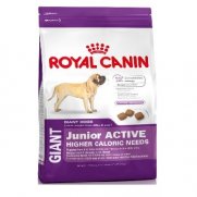 Роял Канин (Royal Canin) Giant Junior Active сух.для активных щенков гигантских пород 15кг