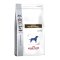 Роял Канин (Royal Canin) Gastro Intestinal GI 25 сух.для собак при нарушении пищеварения 14кг