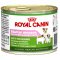 Роял Канин (Royal Canin) Starter Mousse конс.для щенков 195г