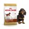 Роял Канин (Royal Canin) Adult Dachshund сух.для такс 7,5кг