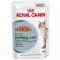 Роял Канин (Royal Canin) Hairball Care пауч для кошек 85г