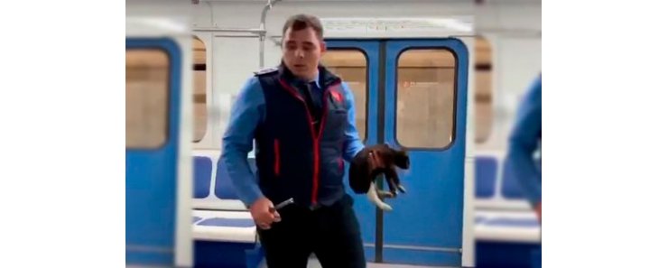 Машинист московского метро спас котенка Снегурочку