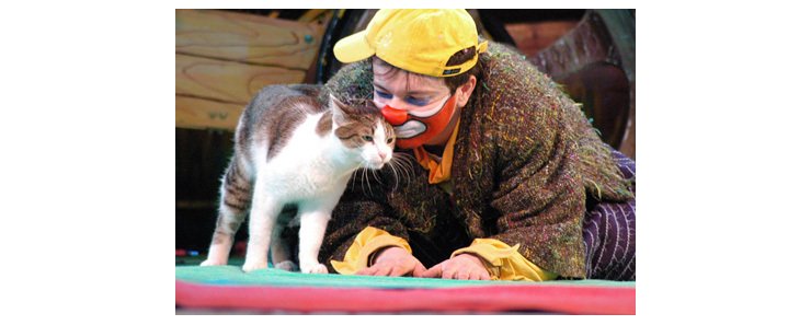 Москвичи смогут посетить "храм кошки" в обновленном театре Куклачева