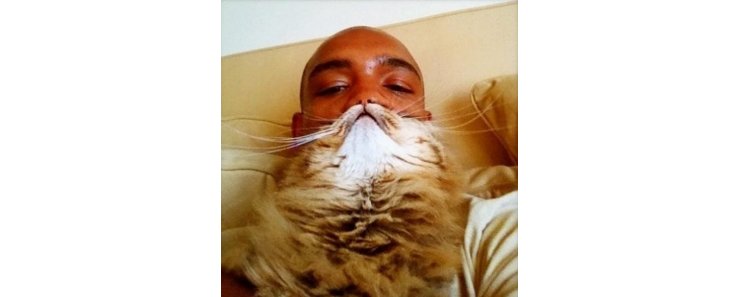Котомания вышла на новый уровень: люди выкладывают фото с бородами из котов