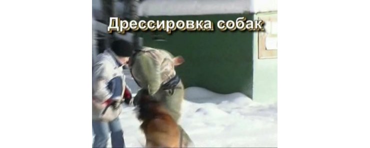 Дрессировка собак (2003)