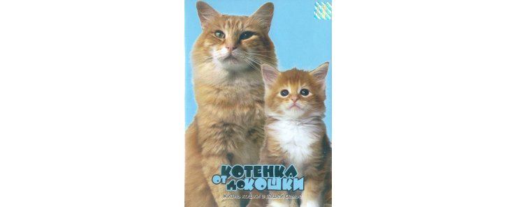 От котёнка до кошки / Kittens to Cats (1987)