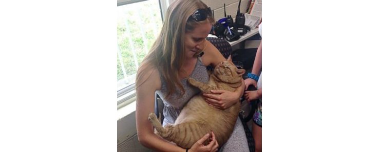 В США 16-килограммовый кот Симба нашёл новых хозяев