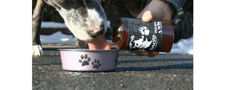 В США выпустили пиво для собак
