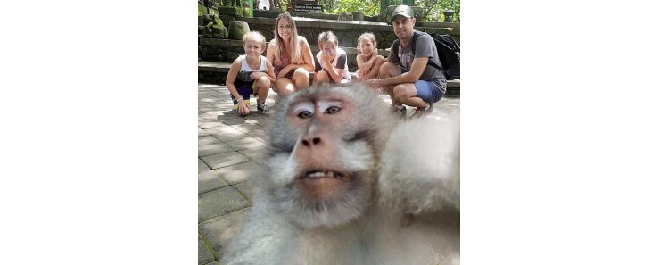 Обезьяна отобрала у туристов фотоаппарат и сняла всё, что о них думает