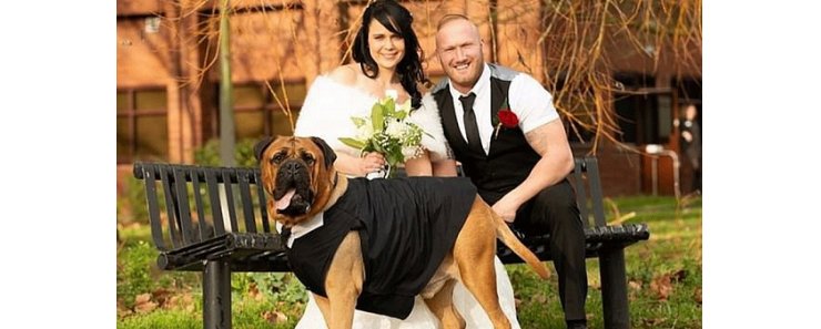 Молодая пара перенесла дату свадьбы, чтобы на ней могла присутствовать их больная собака