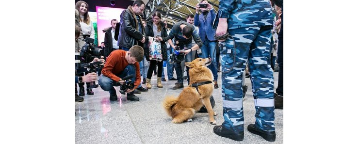 Ваш полёт в надёжных лапах. Служебным "шалайкам" "Аэрофлота" выдали регистрацию