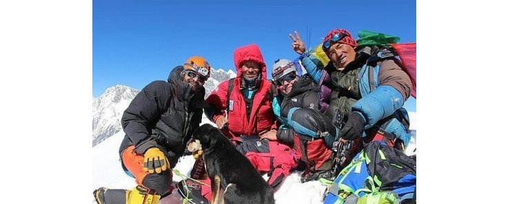 В Непале бродячая собака привязалась к альпинисту и покорила с ним Гималаи