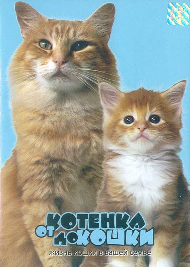 От котёнка до кошки / Kittens to Cats (1987)