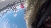 Пес украл экшн-камеру и снял велопарад Пес украл экшн-камеру и снял велопарад