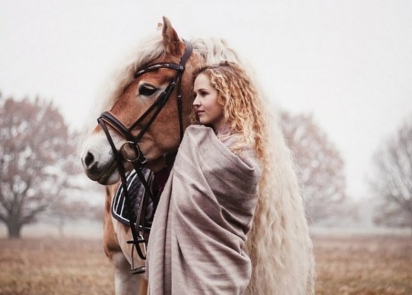 В Сети нашли лошадь, очень похожую на диснеевскую принцессу