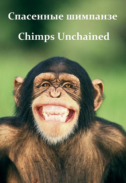 Спасенные шимпанзе / Chimps Unchained (National Geographic/2006)