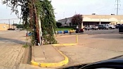 Американец построил поезд для бездомных собак Американец построил поезд для бездомных собак