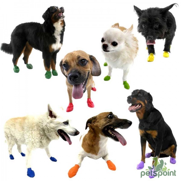 Medium dog boots discount