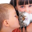 Учёные нашли связь между животными и аллергией у детей