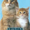 От котёнка до кошки / Kittens to Cats (1987)