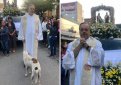Бразильский священник открывает двери церкви для бродячих собак