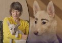 Собака с «человеческими» бровями в Братске за две недели стала интернет-звездой