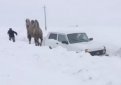 Верблюд вытащил забуксовавшую в снегу "Ниву"