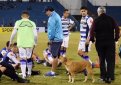 В Парагвае собака стала помощником главного тренера